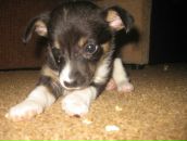 Анастасія Гольба фотография #14 (источник - https://vk.com/id64360893)