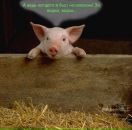 Сергій Льодін фотография #38 (источник - https://vk.com/id46178210)