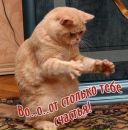 Микола Іванов фотография #2 (источник - https://vk.com/id75040188)