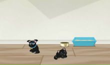 Андрій Дигас фотография #8 (источник - https://vk.com/id119808375)