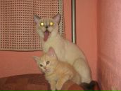 Фотография Крюковой Екатерины