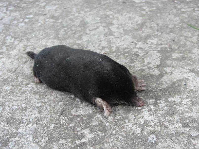 Любовь Великанова фотография #19