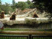 Надя Кіданецька фотография #14 (источник - https://vk.com/id103553217)