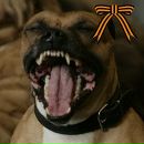 Фотография Серовой Анны