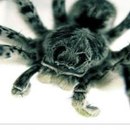 Міша Ситник фотография #8 (источник - https://vk.com/id151089755)