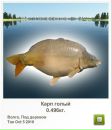 Стефан Дармоєдов фотография #9 (источник - https://vk.com/id82160374)