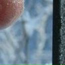 Андрій Бондаренко фотография #35 (источник - https://vk.com/id35176910)