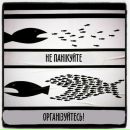 Ρоман Τрофимов фотография #22 (источник - https://vk.com/id164450673)