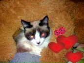 Фотография Ефимовой Наташи