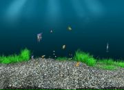 Ілона ******* фотография #18 (источник - https://vk.com/id143600238)