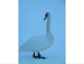 Влад Мігай фотография #3 (источник - https://vk.com/id102133214)