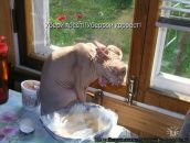 Володимир Вілянський фотография #29 (источник - https://vk.com/id16448591)