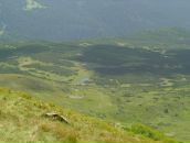 Роман Підкорчевний фотография #9 (источник - https://vk.com/id118863143)