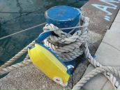 Фотография Дунаевой Анны