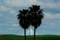 Мариам Давыдова фотография #23 (источник - https://vk.com/id900346)