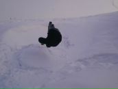 Міша Мудрак фотография #33 (источник - https://vk.com/id133031979)