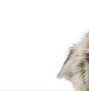 Марія Козак фотография #20 (источник - https://vk.com/id148871802)