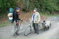 Дашка Мушка фотография #34 (источник - https://vk.com/id1863252)