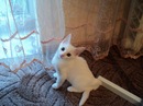 Наталія Черваток фотография #39 (источник - https://vk.com/id142432282)