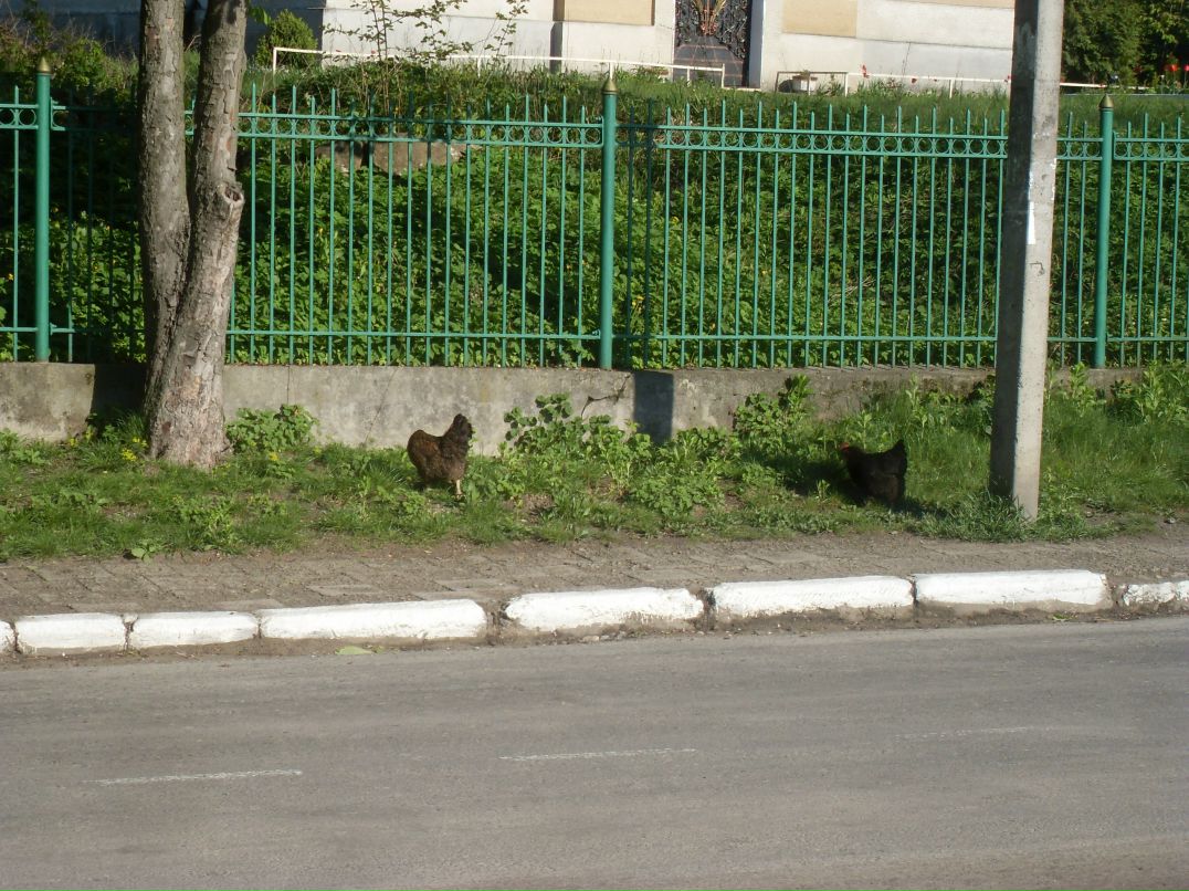 Вадим Тимофеев фотография #35