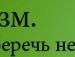 Міша Михайлів фотография #18 (источник - https://vk.com/id103334217)