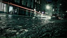 Фотография Шишкина Георгия