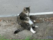 Фотография Матвеева Евгения