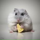 Макс Дембіцький фотография #6 (источник - https://vk.com/id134776755)