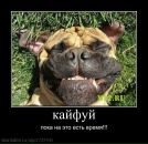 Родион Владиславович фотография #3 (источник - https://vk.com/id140028044)