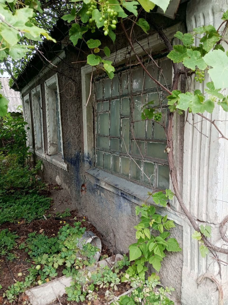 Срочно. В продаже дом и флигель (р-он 33 школы), дом 82,7 кв.м., отопление -газ. котел, ванна и раковина в доме. Флигель 22,6 кв.м. вода свет и газ в доме. Состояние под ремонт. Земля 5,6 сот.(приват.). На участке недостроенное 2эт домостроение, хозпостройки, туалет, летний душ, сливная яма. Прописанных нет....
